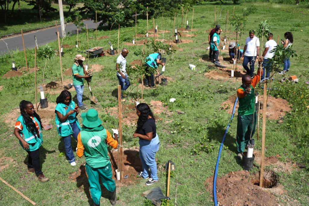 Prefeitura promove operação de plantio em São Cristóvão