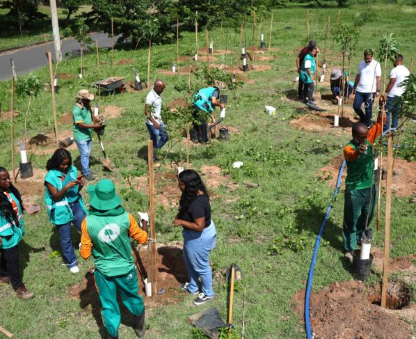 Prefeitura promove operação de plantio em São Cristóvão
