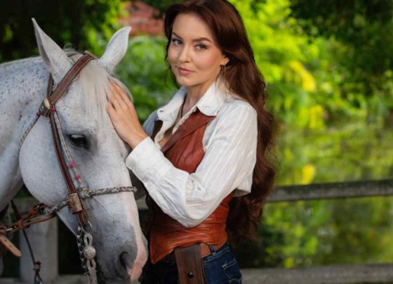 Resumo da novela Domênica Montero