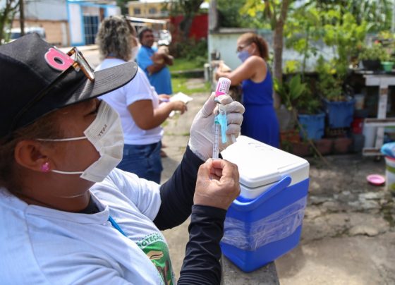 Campanha antirrábica terá vacinação volante em bairros de Salvador neste fim de semana