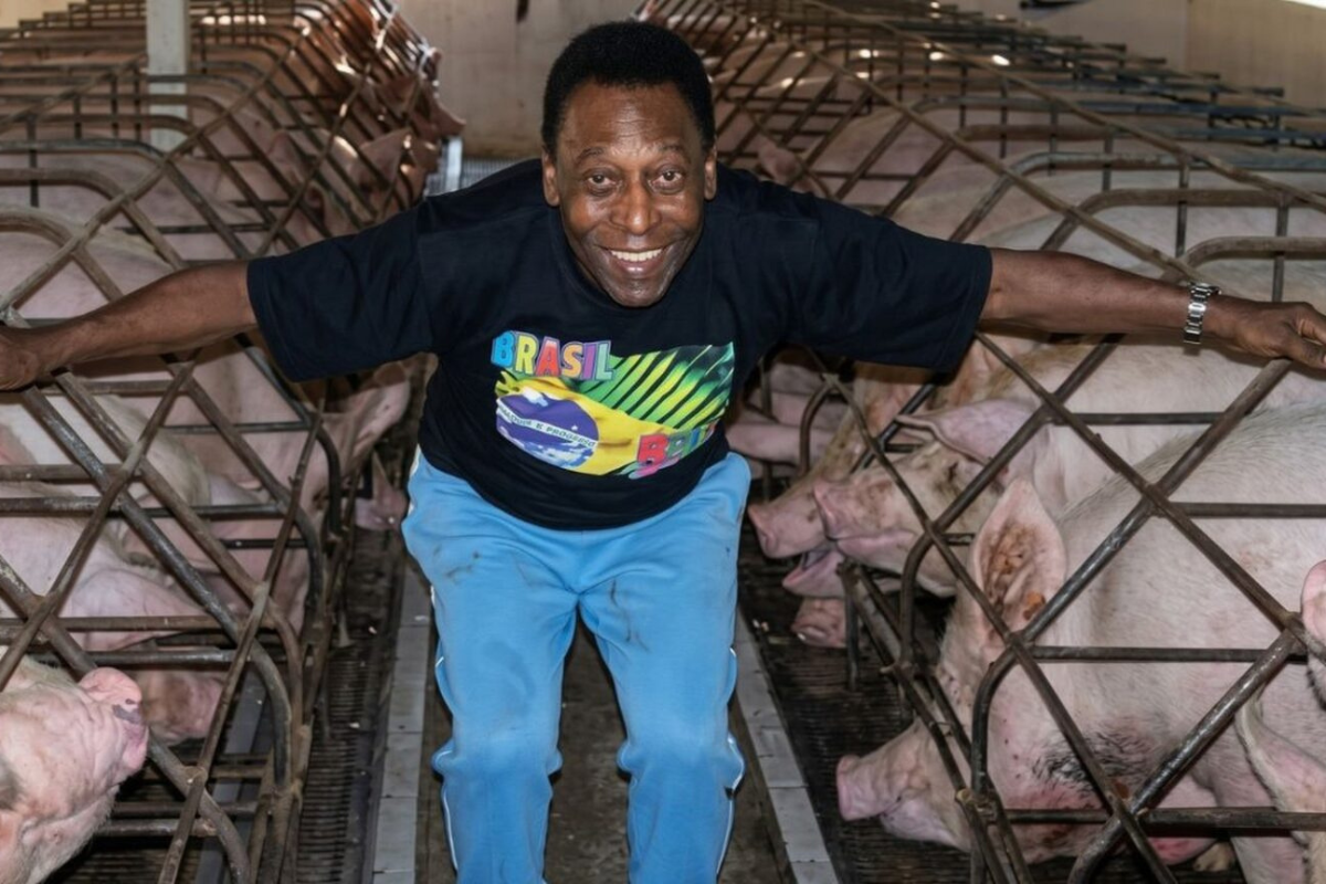 Pelé