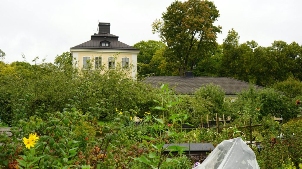 Horta