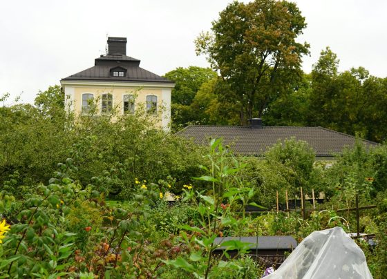 Horta