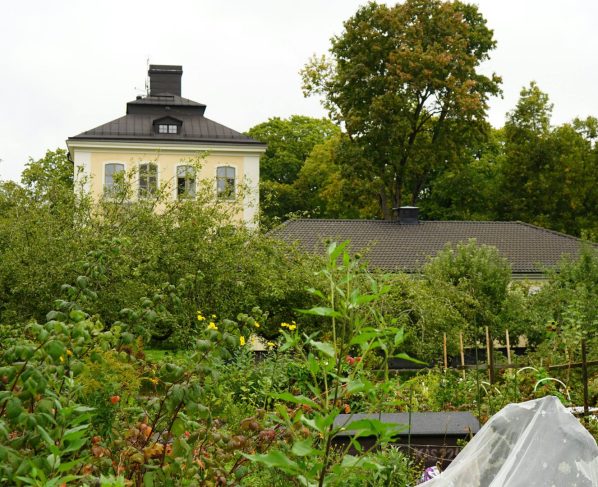 Horta