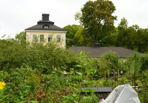 Horta