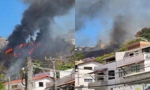 Incêndio atinge área de mata em dunas no bairro do Imbuí, em Salvador