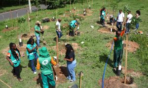 Prefeitura promove operação de plantio em São Cristóvão